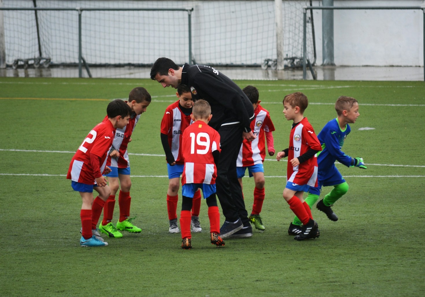 Behind the Scenes: Sandragon Coaching Excellence